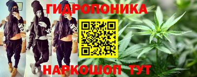 ГАЛЛЮЦИНОГЕННЫЕ ГРИБЫ Изобильный
