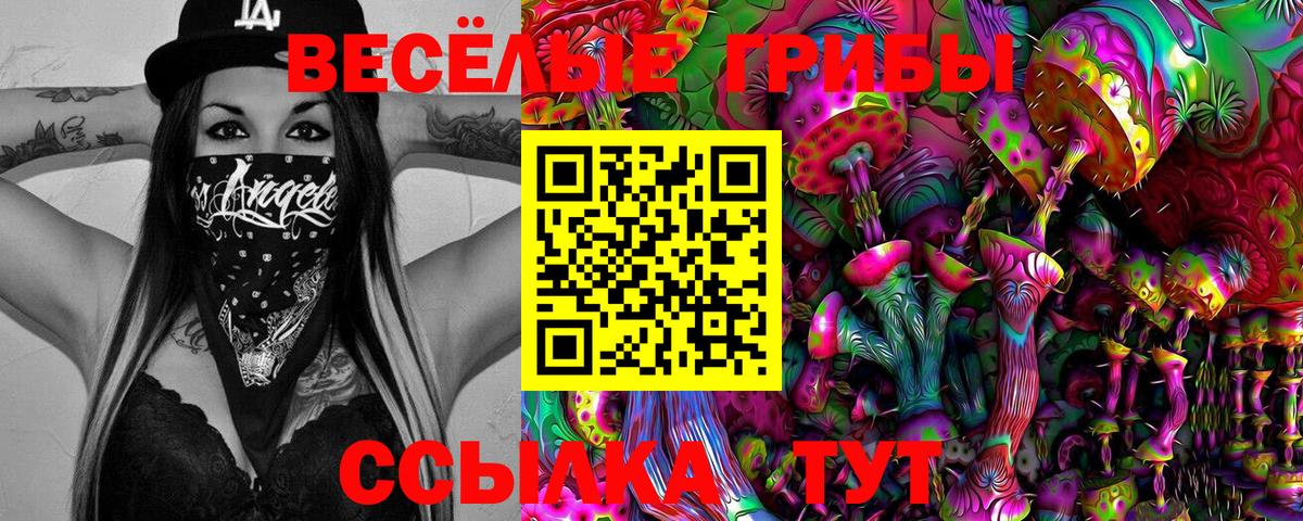 Меф Люберцы