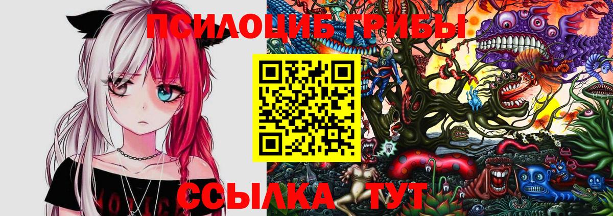 Псилоцибиновые грибы мухоморы Люберцы