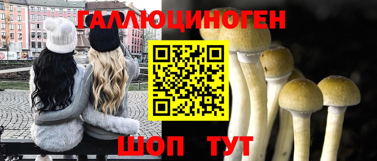 Люберцы  Галлюциногенные грибы мицелий  Вход с VPN 